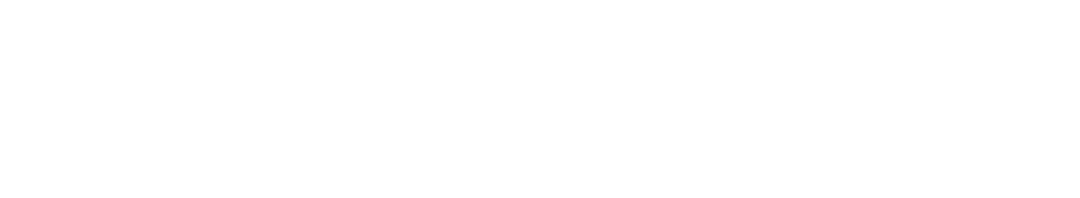 SinCopyPaste